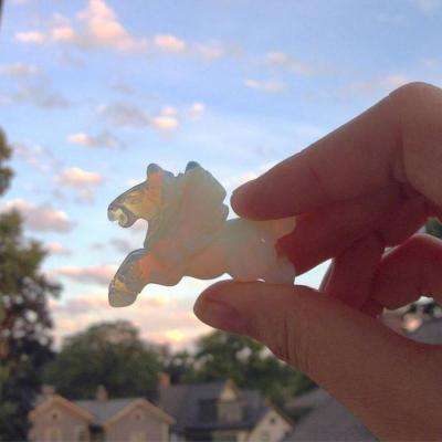 大发彩票官方官方平台app手机app下载